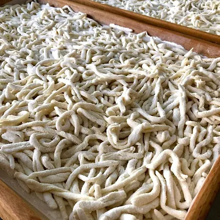 皮齐内利酒店 里米尼