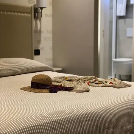 酒店 皮齐内利酒店 里米尼