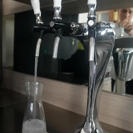 皮齐内利酒店 酒店 里米尼